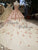 2018 Blush Pink Strapless Ball Gown Evening Dresses with Appliques