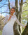2020 Bridal Wedding Dresses with Lace Sleeve Scoop Neckline Backless Wedding Gowns