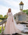 Elegant Lace Wedding Dresses with Veil See Through V-Neck Tulle Lace A-line Bridal Gowns Outdoors