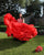 Beautiful Red Quinceanera Dresses Ball Gown Ruffles Skirt Organza Halter Neck Sweet 16 Dress