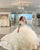 Delicate Ivory Tulle Wedding Dress Cap Sleeves V-Neckline Lace Ball Gown Wedding Gowns 2023