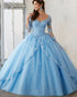 Blue Lace Long Sleeves Princess Tulle Ball Gown Quinceanera Dresses V Neckline Sweet 15