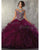 New Arrival 2018 Grape Tulle Quinceanera Dresses Ball Gown Tulle Ruffles Cap Sleeves