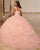 Beautiful Lace Quinceanera Dress Detachable Straps Tulle Ball Gowns Sweet 16 Dress vestidos de quinceañera
