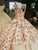 Illusion Neck Blush Pink Lace Ball Gown Evening Dresses 2018