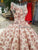 Illusion Neck Blush Pink Lace Ball Gown Evening Dresses 2018