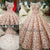 Illusion Neck Blush Pink Lace Ball Gown Evening Dresses 2018