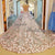 blush-pink-wedding-dresses ball-gown-wedding-dresses sexy-sheer-back chapel-train-wedding-gowns 2018-wedding-dresses wedding-gowns-2019 new-arrival-wedding-dresses