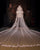 Beautiful Lace Wedding Veils with Appliques for Brides 3 meters Length