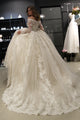 Gorgeous Lace Wedding Dresses with Appliques 2019 Puffy Tulle Bridal Dress Ball Gown Full Sleeve