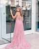 Sexy Mermaid Pink Prom Dresses Deep V-Neck VIP Fashion Lace Long Prom Formal Party Gowns 2021 New