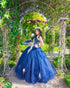 Royal Blue Quinceanera Dresses Ball Gown with Lace Appliques Sweetheart Sparkly Organza Sweet 16 Dress