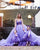 Purple Tulle Quinceanera Dresses Ball Gown Spaghetti Straps V-Neck Beaded Sweet 16 Dress 803076