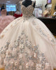 Champagne Quinceanera Dress Floral Embroidery 3D Lace Tulle Skirts Ball Gown Sweet 16 vestidos de quinceañera AW2207221