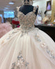 Champagne Quinceanera Dress Floral Embroidery 3D Lace Tulle Skirts Ball Gown Sweet 16 vestidos de quinceañera AW2207221