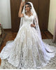 2019 Delicate Lace Wedding Dress Ball Gown Appliques Beaded Bodice Bridal Gown Chapel Train